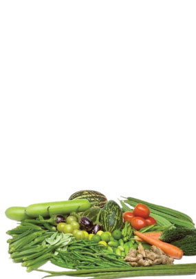 Vegetable-Card